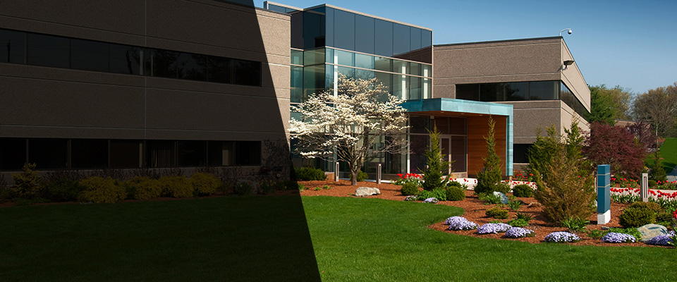 Poolesville Landscapers