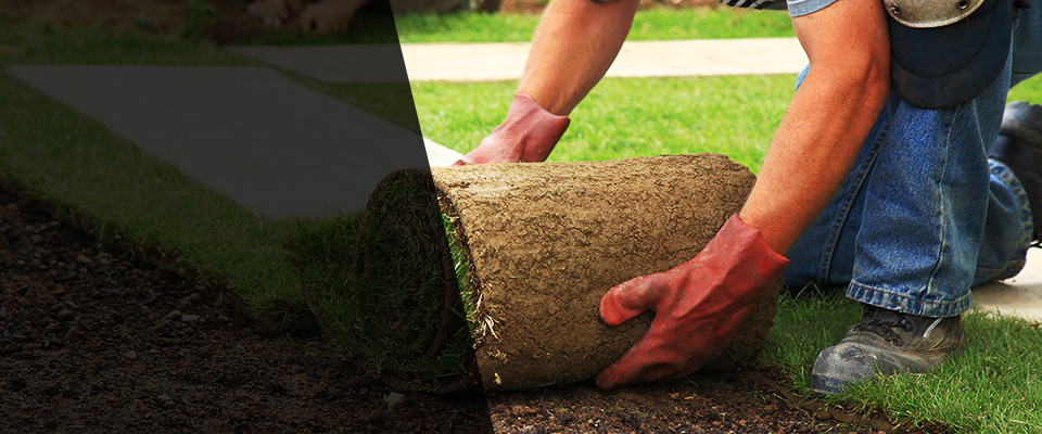 Poolesville Landscapers